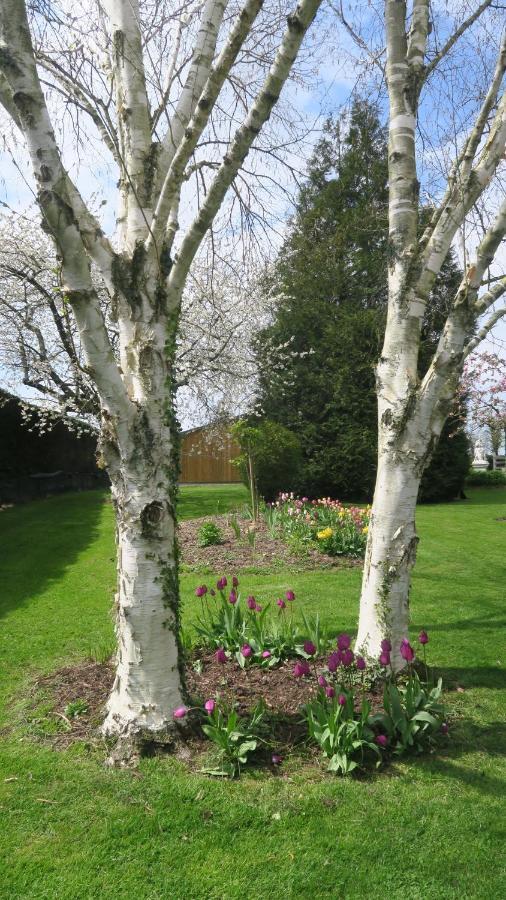 Le Clos Brayon Saint-Honore  Extérieur photo